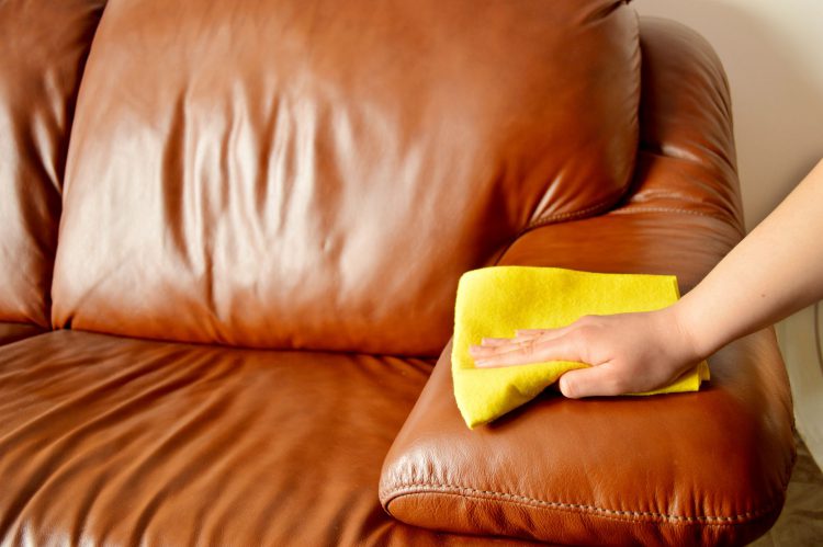 Learn How Cleaning & Conditioning Leather Furniture Can Be Rewarding!