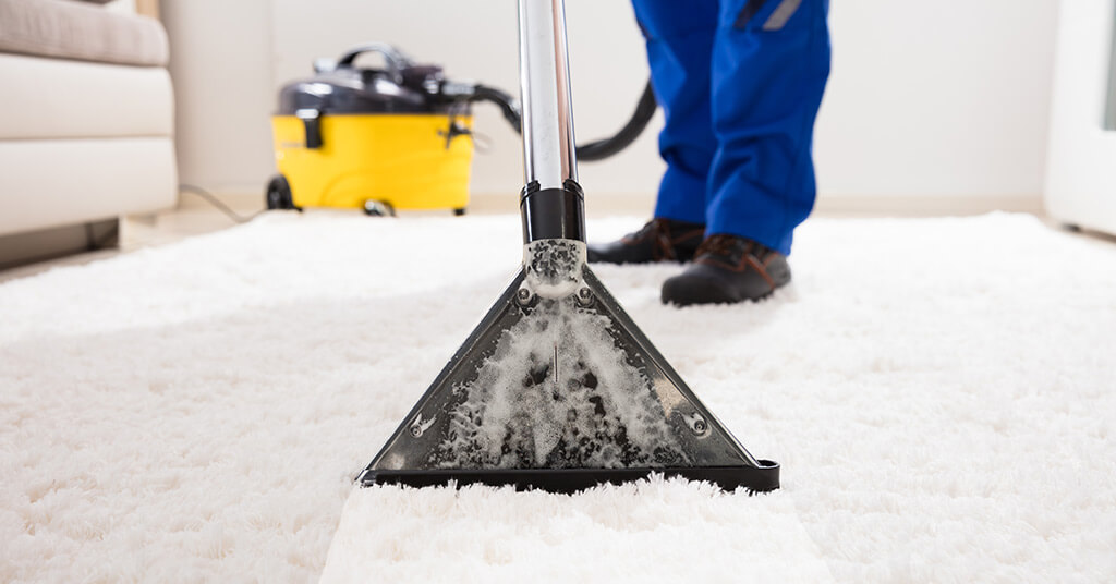 What You Need to Know When Setting Up New Carpet Cleaning Business?