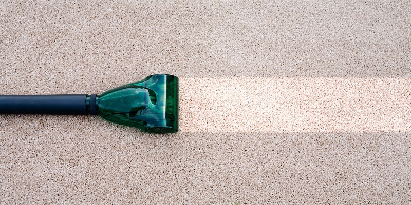 What are the Homemade Carpet Cleaners?