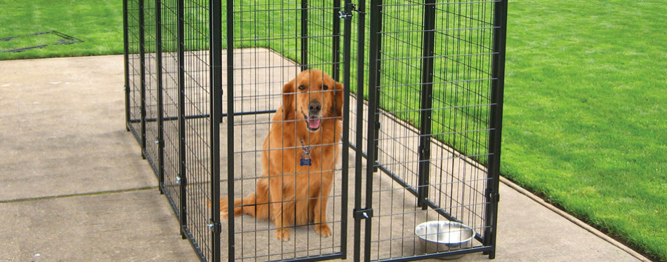 How to Choose Outdoor Dog Kennel for Small Dogs?
