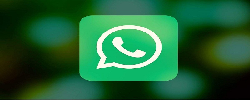Why Should You Choose WhatsApp Status?