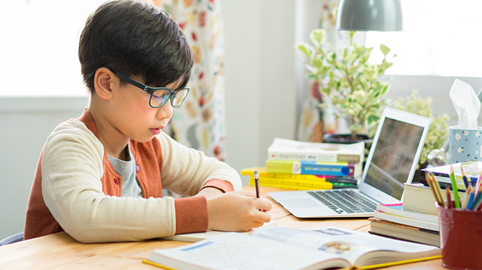 What To Consider While Looking For Online Homeschooling Programs?