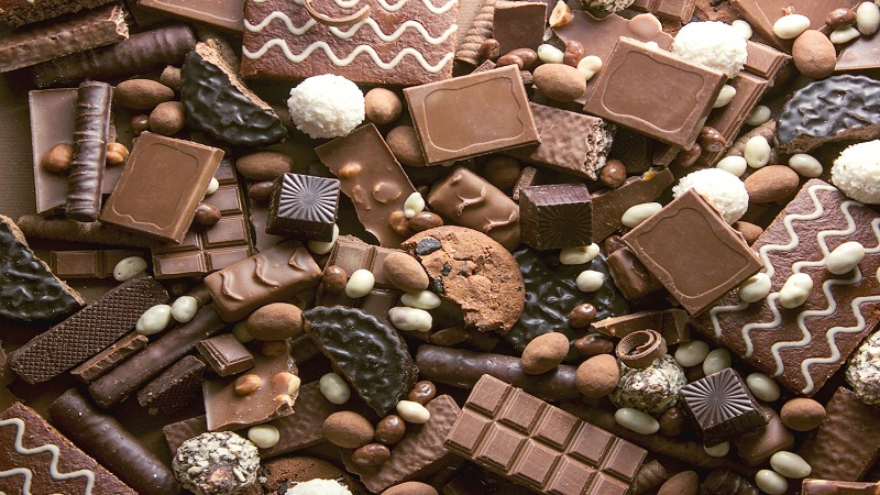 The Delicious Journey of Chocolate